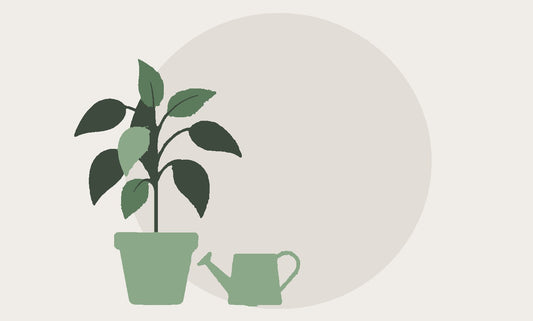 A flat illustration of a potted plant standing beside a watering can, against a large pale circle.